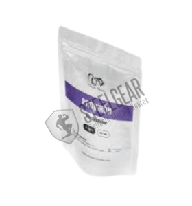 Proviron 25 mg 100 Tablets Dragon Pharma Proviron 25 mg 100 Tablets Dragon Pharma