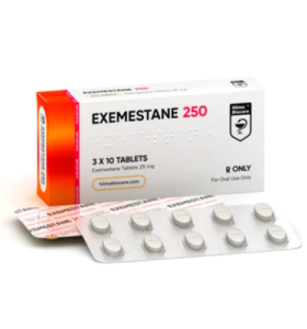 Exemestane 250 Hilma Biocare EU Exemestane 250 Hilma Biocare EU