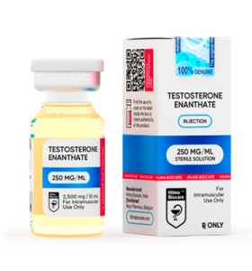 Testosterone Enanthate 250 Hilma Biocare EU