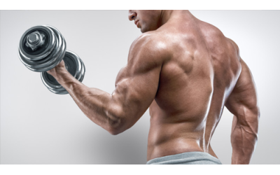 How to train? Allround or seperate muscle group training?