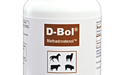 Legal Steroids For Sale - About Legal Steroids Legal Steroids For Sale - About Legal Steroids
