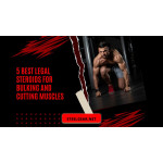 Steroids For Sale 5 Best Legal Steroids For Bulking And Cutting Muscles