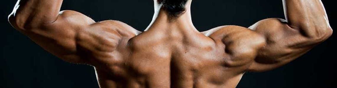 Steroids: 4 Best Ones To Get Big Quick