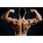Steroids: 4 Best Ones To Get Big Quick