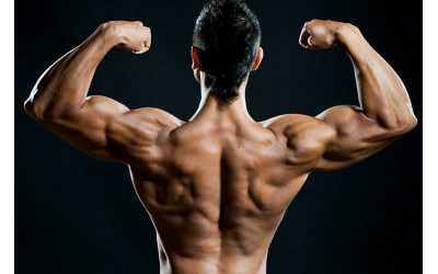 Steroids: 4 Best Ones To Get Big Quick