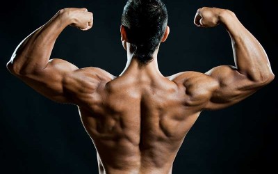 Steroids: 4 Best Ones To Get Big Quick Steroids: 4 Best Ones To Get Big Quick