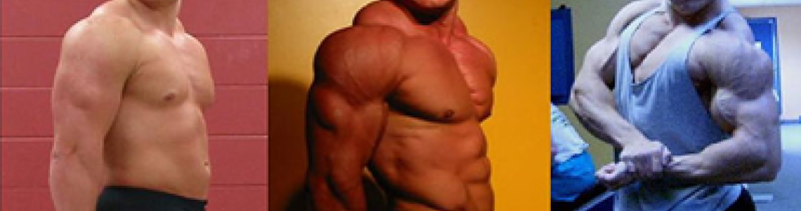 What is Bulk in Bodybuilding? How is it Done?