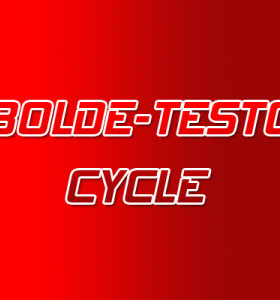 Testo - Bolde Steroid Cycle Testo - Bolde Steroid Cycle