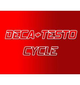 Deca - Testo  Steroid Cycle