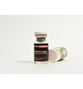 TESTO E 250 Para Pharma TESTO E 250 Para Pharma