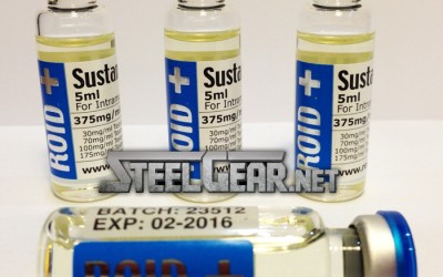 About Sustanon (Testosterone Blend) About Sustanon (Testosterone Blend)