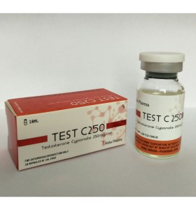 Testosterone Cypionate 250 Maha Pharma Testosterone Cypionate 250 Maha Pharma