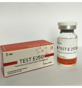 Test E 250 Maha Pharma