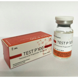 Test P 100 Maha Pharma