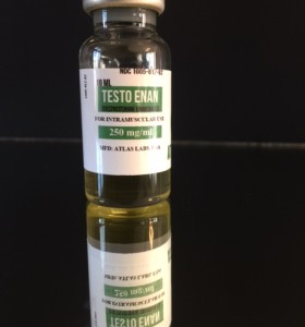 Testosterone Enanthate 2500 Atlas Labs.
