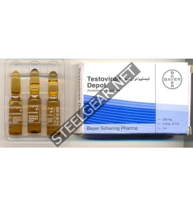 Testoviron Depot (Testosterone Enanthate) 1 ml 250 mg Bayer