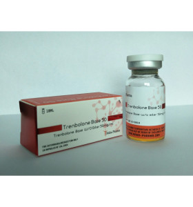 Trenbolone Base 50 Maha Pharma