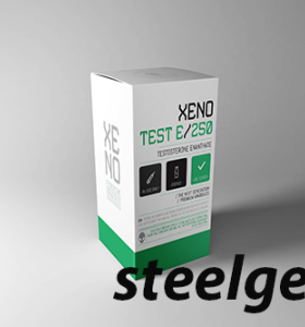 TESTOSTERONE ENANTHATE 250 Mg 10 ML - XENO LABS TESTOSTERONE ENANTHATE 250 Mg 10 ML - XENO LABS