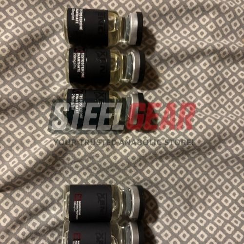 Test/E 250 mg 10 ml Xeno US