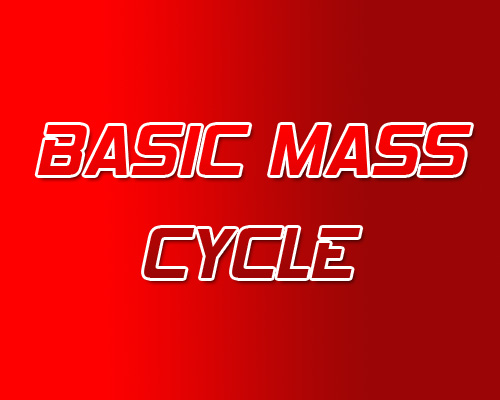 Basic Mass Steroid Cycle