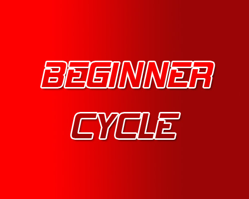 Beginner Steroid Cycle